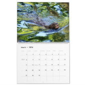 14 photos os animals and water kalender (Mär 2026)