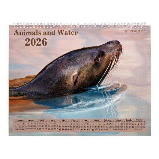 14 photos os animals and water kalender (Titelbild)
