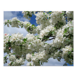 14"x11" Blütenkräuterpflanze Fotodruck