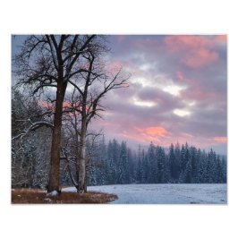 14"x11" Foto drucken | | Cottonwood Sunset