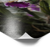 14"x11" Orchideen Fotodruck (Ecke)
