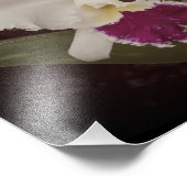 14"x11" Orchideen Fotodruck (Ecke)