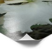 14"x11" Orchideen Fotodruck (Ecke)