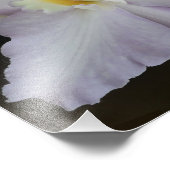 14"x11" Orchideen Fotodruck (Ecke)