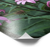 14"x11" rosa Verkleidungen Fotodruck (Ecke)