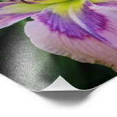 14"x11"-Taglilien Fotodruck (Ecke)