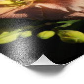 14"x11"-Taglilien Fotodruck (Ecke)