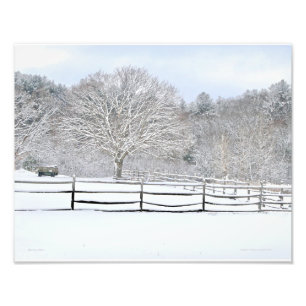 14 x 11 Walden Woods Project Farm Foto Print