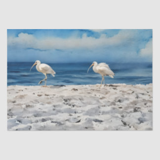 14 x 20 Strandvögel Seidenpapier 10lb