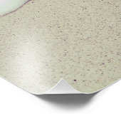 14 Zoll x 11 Zoll, Kodak Berufliches Foto Paper (S (Ecke)