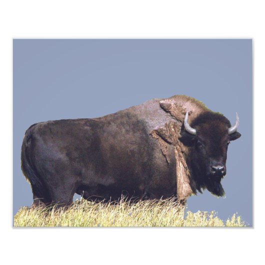 14 Zoll x 11 Zoll, Kodak Berufliches Foto Paper (S (Vorne)