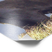 14 Zoll x 11 Zoll, Kodak Berufliches Foto Paper (S (Ecke)