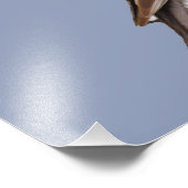 14 Zoll x 11 Zoll, Kodak Berufliches Foto Paper (S (Ecke)