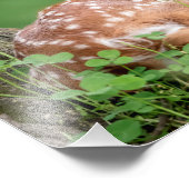 14x11 Adorable Fawn unter einem Baum Fotodruck (Ecke)
