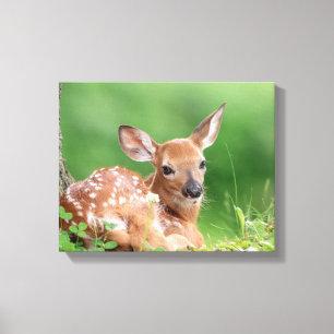 14x11 Adorable Fawn unter einem Baum Leinwanddruck
