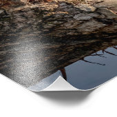 14x11 amerikanischer Mink Fotodruck (Ecke)