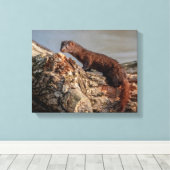 14x11 amerikanischer Mink Leinwanddruck (Insitu (Holzboden))
