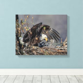 14x11 Bald Adler mit ihrem Baby Leinwanddruck (Insitu (Holzboden))