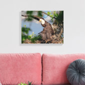 14x11 Bald-Adler verlassend Nest Leinwanddruck (Insitu (Wohnzimmer))
