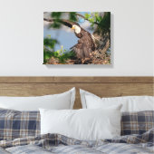 14x11 Bald-Adler verlassend Nest Leinwanddruck (Insitu (Schlafzimmer))