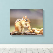 14x11 Chipmunk mit Erdnuss Leinwanddruck (Insitu (Holzboden))