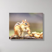 14x11 Chipmunk mit Erdnuss Leinwanddruck (Vorderseite)