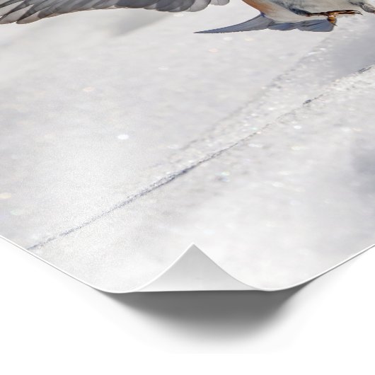 14x11 Eastern Bluebird tanzen im Schnee Fotodruck (Ecke)