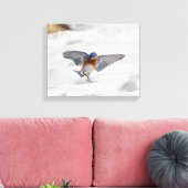 14x11 Eastern Bluebird tanzen im Schnee Leinwanddruck (Insitu (Wohnzimmer))