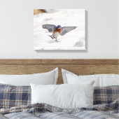 14x11 Eastern Bluebird tanzen im Schnee Leinwanddruck (Insitu (Schlafzimmer))