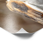 14x11 fotodruck (Ecke)