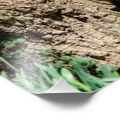 14x11 Fox Kit im Hudson Valley Fotodruck (Ecke)