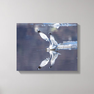 14x11 glatte Reflektionen Leinwanddruck
