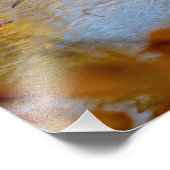 14x11 Great Blue Heron gerahmt mit Abfall Peeling Fotodruck (Ecke)