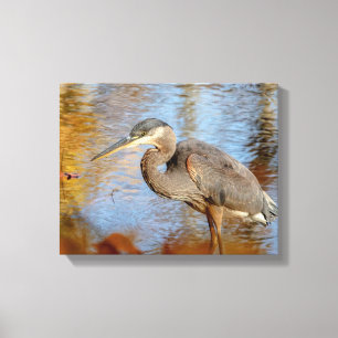14x11 Great Blue Heron gerahmt mit Abfall Peeling Leinwanddruck