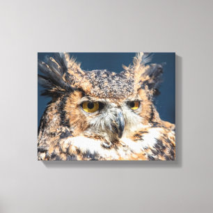 14x11 Großes Horned Owl Portrait Leinwanddruck