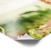 14x11 Junge Groundhog Fotodruck (Ecke)