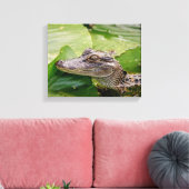 14x11 Junger Alligator Leinwanddruck (Insitu (Wohnzimmer))