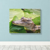 14x11 Junger Alligator Leinwanddruck (Insitu (Holzboden))