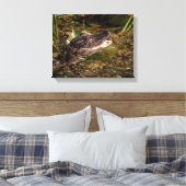 14x11 Junger Alligator Leinwanddruck (Insitu (Schlafzimmer))