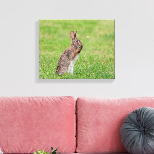 14x11 Kaninchen stehend im Gras und schüchtern aus Leinwanddruck (Insitu (Wohnzimmer))