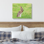 14x11 Kaninchen stehend im Gras und schüchtern aus Leinwanddruck (Insitu (Schlafzimmer))