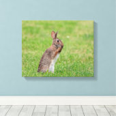 14x11 Kaninchen stehend im Gras und schüchtern aus Leinwanddruck (Insitu (Holzboden))
