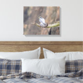 14x11 Peregrine Falcon im Palisades Interstate Leinwanddruck (Insitu (Schlafzimmer))