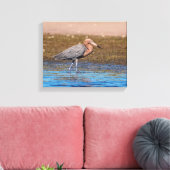 14x11 Reddish Egret am North Beach Leinwanddruck (Insitu (Wohnzimmer))