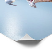 14x11 Roter Schulter-Hawk Fotodruck (Ecke)