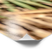 14x11 Roter Schulter-Hawk in einem Baum Fotodruck (Ecke)