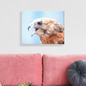 14x11 Roter Schulter-Hawk Leinwanddruck (Insitu (Wohnzimmer))