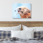 14x11 Roter Schulter-Hawk Leinwanddruck (Insitu (Schlafzimmer))
