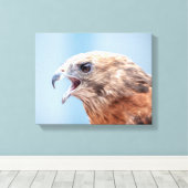 14x11 Roter Schulter-Hawk Leinwanddruck (Insitu (Holzboden))