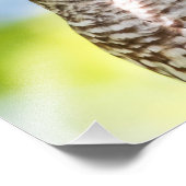 14x11 Schale Fotodruck (Ecke)